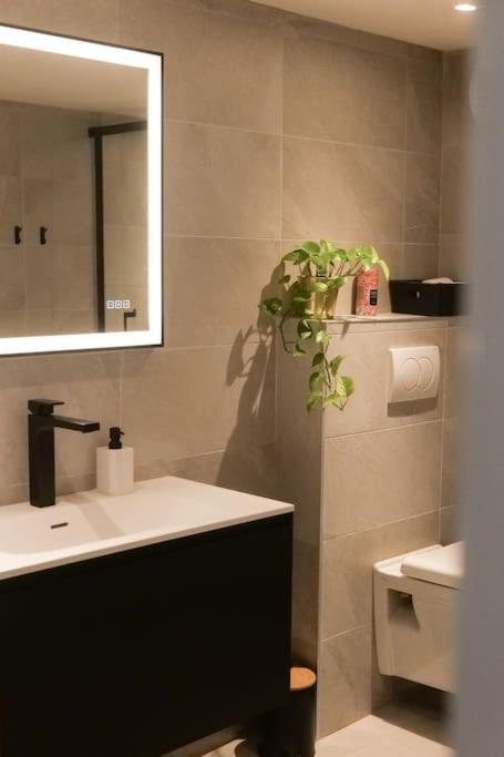 Hypercentre Rue Pietonne Au Calme Apartment Toulouse Bagian luar foto